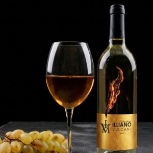 Falanghina Doc Campi Flegrei | 6 Bottle